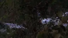 Мыслить как преступник 1 сезон 13 серия