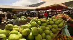 Мыслить как преступник: За границей 2 сезон 3 серия